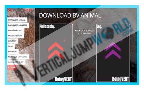 boingvert animal|All Products .